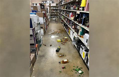 Drunk raccoon found passed out in liquor store bathroom: Officials ...