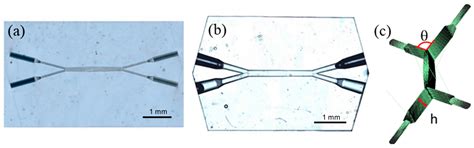 Laser-Inscribed Glass Microfluidic Device for Non-Mixing Flow of ...
