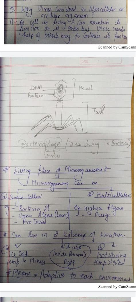 Image result for Class 8 Science Chapter 2