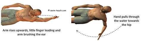 Teaching Backstroke 的图像结果