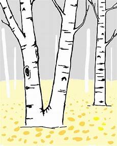 Birch Tree Clipart by Free Birch Cliparts Free Clip Free Clip Birch Tree Clipart