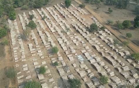 Forest Development Corporation of Maharashtra Limited