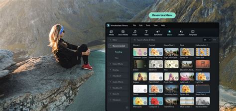 Image result for Filmora 11 Effects