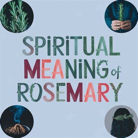 11 Spiritual Meaning of Rosemary: Unveiling the Herb's Mystical Secrets