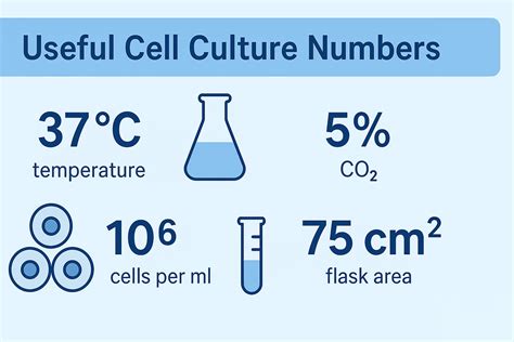 Useful Cell Culture Numbers Of Laboratory — Lab Consumables Supplier
