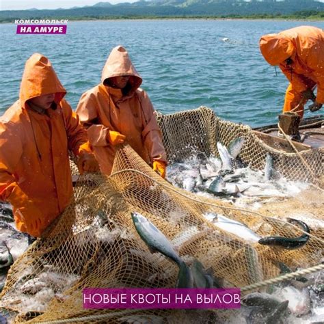 Новые квоты на вылов рыбы вступят в силу в Хабаровском крае в 2025 году ...
