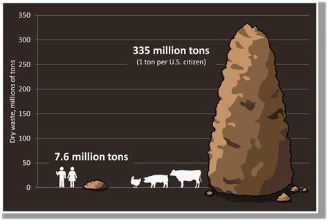 Basic Knowledge of Food Production 的图像结果