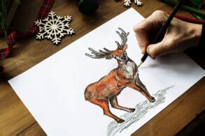 Deer Drawing Tutorial 的图像结果