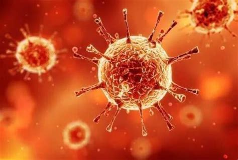 【科普知识】免疫细胞消灭病毒的过程