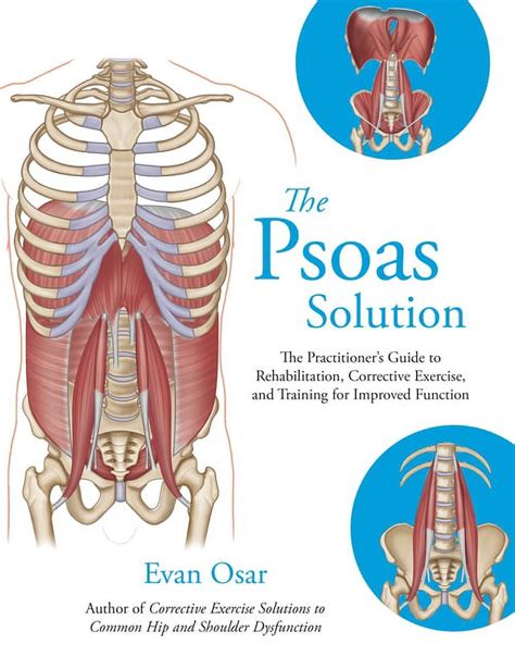 Evan Osar The Psoas Solution: Rehabilitation and Training for India | Ubuy