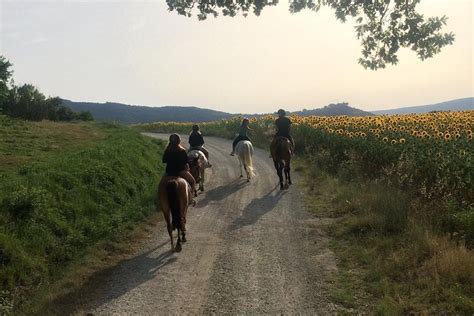 Chianti Region Horseback Riding and Wine Tasting Tour 2022 - Florence ...