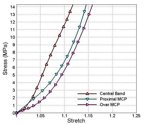 Image result for Stretch Exponential Function