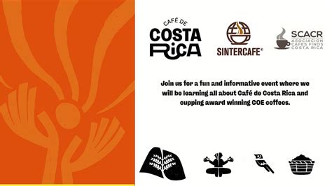 Costa Rica in a CUP, Sucafina Specialty EMEA, Antwerpen, 4 July 2024 ...