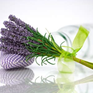 Buy Green & Brown Lavender Essential Oil Pure, Natural and Organic For ...