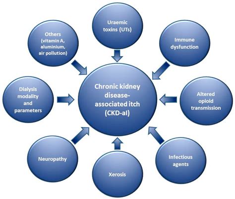 Causes For Chronic Kidney Disease at Kate Wardill blog