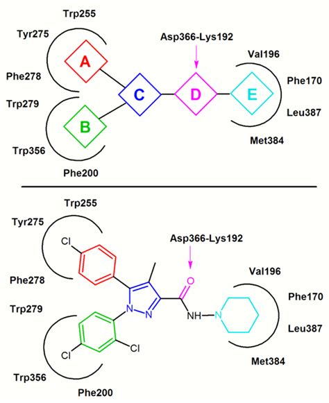 Cannabinoid Receptor Antagonist | Encyclopedia MDPI