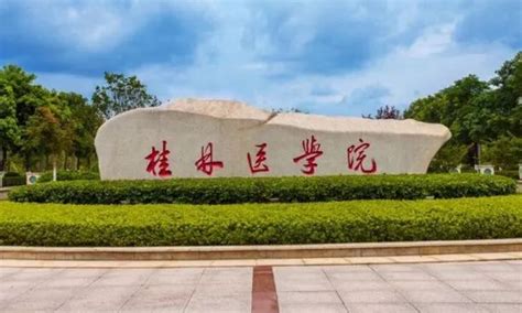 桂林医学院师生代表到我校交流学习-国际交流处