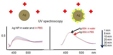 Silver Nanostructures: Limited Sensitivity of Detection, Toxicity and ...