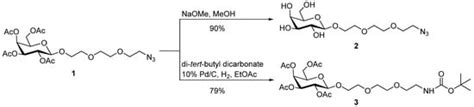 Synthesis and Excellent Duplex Stability of Oligonucleotides Containing ...