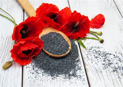 Premium Photo | Poppy seeds and flowers