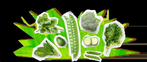 Nutrient-Dense Foods for Children's Growth & Development