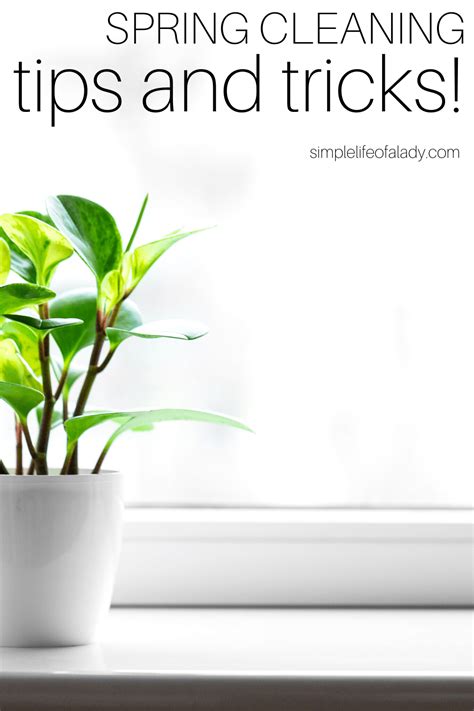 Image result for Simple Spring Cleaning Tips