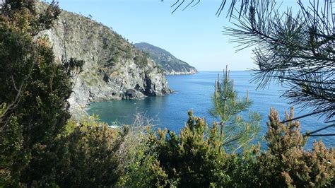 RESORT LA FRANCESCA (Bonassola) - Inn Reviews, Photos, Rate Comparison ...