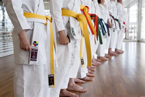 Colors and Meanings of Karate Belts - Hajime Karate