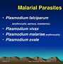 Image result for Antimalarial