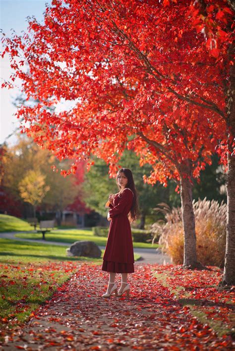 Treasure Cove — Toxickbunny