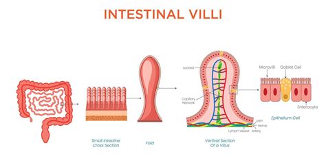 Image result for Visual Spatial Examples