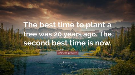 Chinese proverb Quote: “The best time to plant a tree was 20 years ago. The second best time is ...