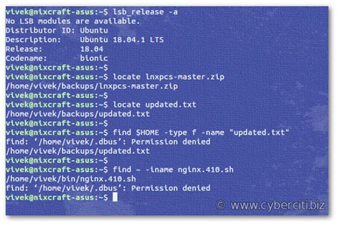 How to Find a File in Linux 的图像结果