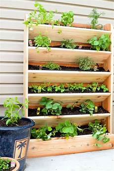 Vertical Garden by Diy Vertical Garden With Drip Watering System Houseful Vertical Garden