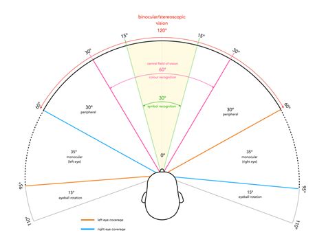 Image result for Normal Human Eye