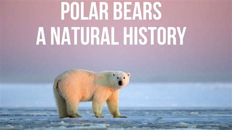 Species 的图像结果