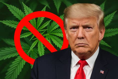 Texas THC Ban 2025: What It Means for Consumers and Retailers