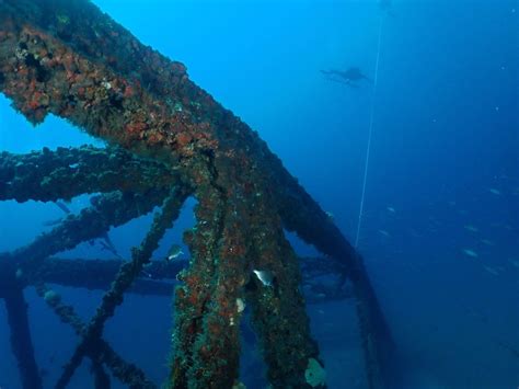 Dive Charters- Offshore (Advanced-Adventure & Nitrox required), 106 ...