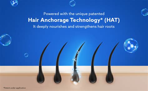 Buy Mintop Pro Shampoo For Hair Fall Control | Fortified With Procapil ...