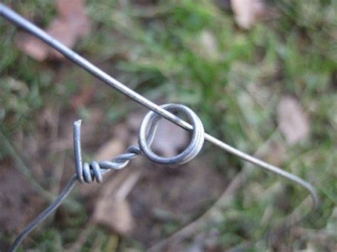 Image result for Spring Snare