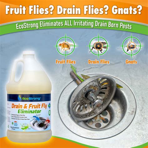 Drain and Fruit Fly Eliminator: Remove Gnats, Sewer Flies and More ...