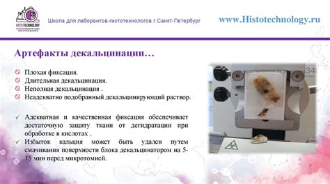 Процесс изготовления материала для гистологического исследования ...
