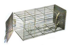 Velcare Pest Control