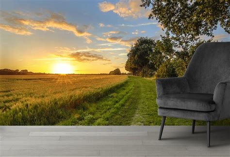 Grass Wallpaper for Wall – 3 Year Color Warranty