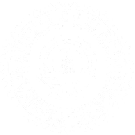 Siva Institute of Electronics