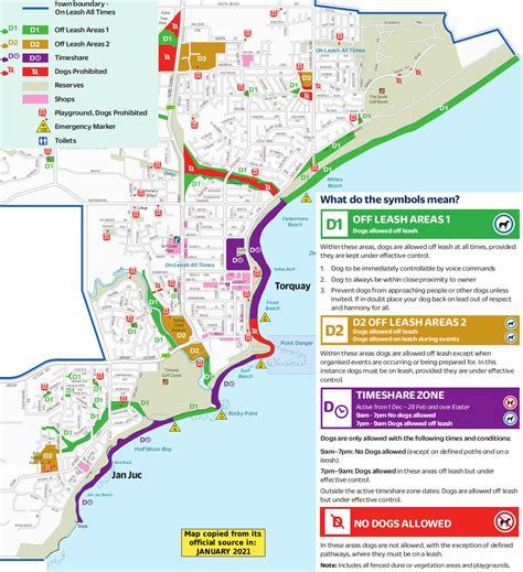 What Beaches Allow Dogs