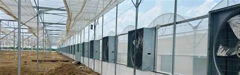 Agriplast Exhaust Fan - 44,000 m³/h Cooling for Greenhouse Efficiency