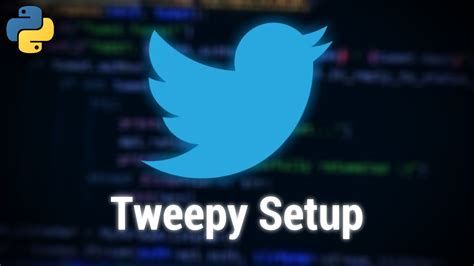 Tweepy Tutorial 的图像结果