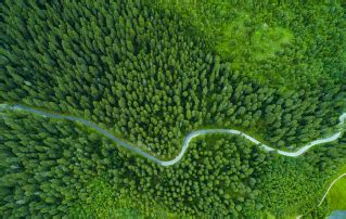 Mindray Awarded EcoVadis Silver Medal, Ranking in Top10% - Mindray India