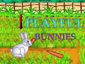 Image result for Cute Bunnies White and Brown